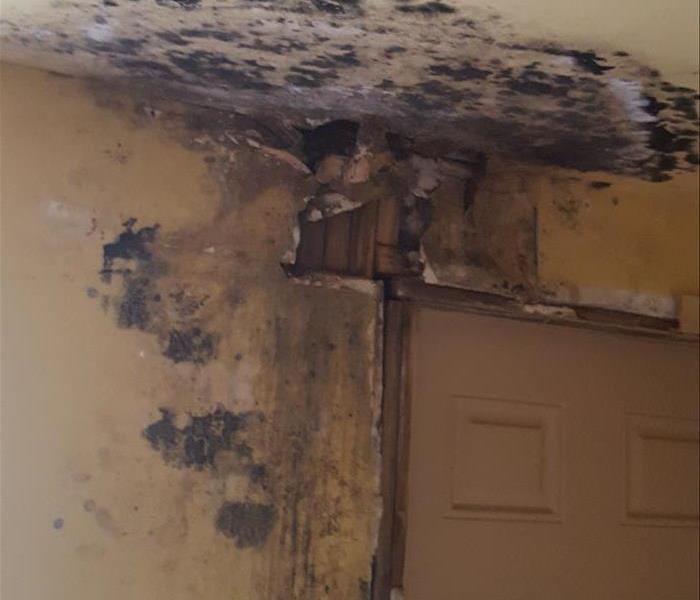 Black mold visible on the door frame.