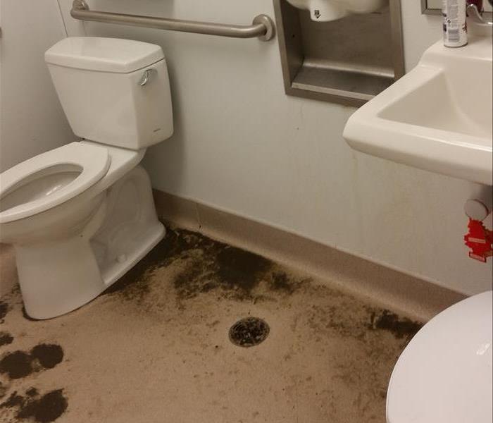 Pictured here is the reason we were called in for a deep cleaning. This environment would not be suitable heath reasons. 