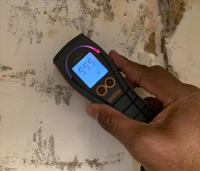 Moisture meter is reading 999 determining that the walls need proper drying. 