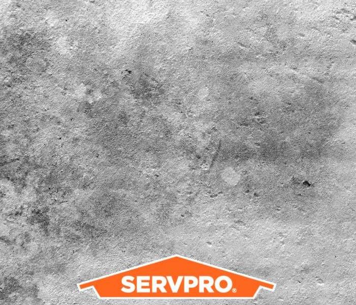 Removing black soot from fire damaged concrete